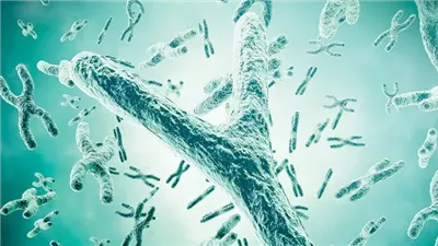 اختفاء الكروموسوم Y يهدد صحة الرجال مع التقدم بالعمر