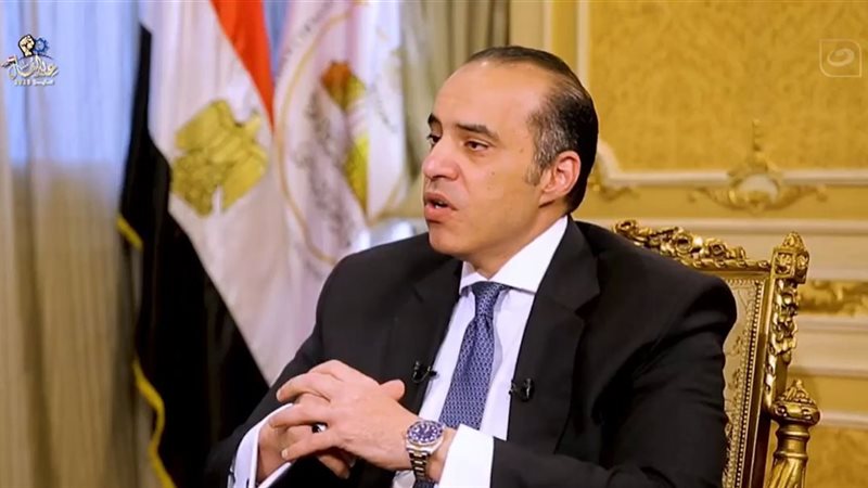 المستشار محمود فوزي