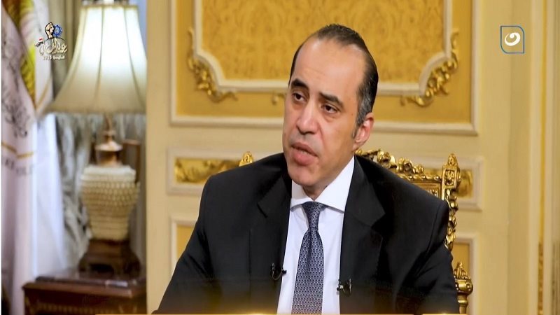 المستشار محمود فوزي