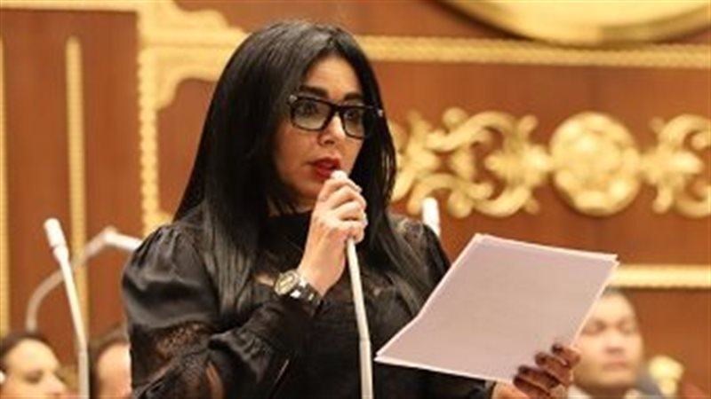 النائبة ريهام عفيفي