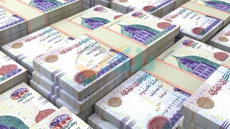 الانفاق على الحماية