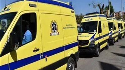 إصابة 16 شخصا.. السيطرة على حريق بإحدى قرى الإسماعيلية 