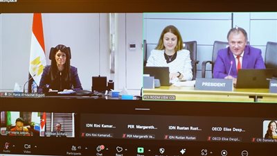 «المشاط»: مراجعة الحوكمة العامة تعتبر الأولى من نوعها في مصر