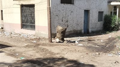 السيطرة على حريق مخازن الجمعية الزراعية ببني سويف