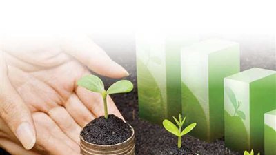 البنوك المصرية.. قفزات نمو سريع نحو التمويل الأخضر لدعم المشروعات المستدامة 