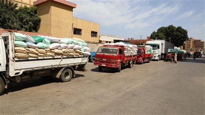 محافظ المنوفية: توريد 19 ألف طن قمح للصوامع منذ بدء الحصاد