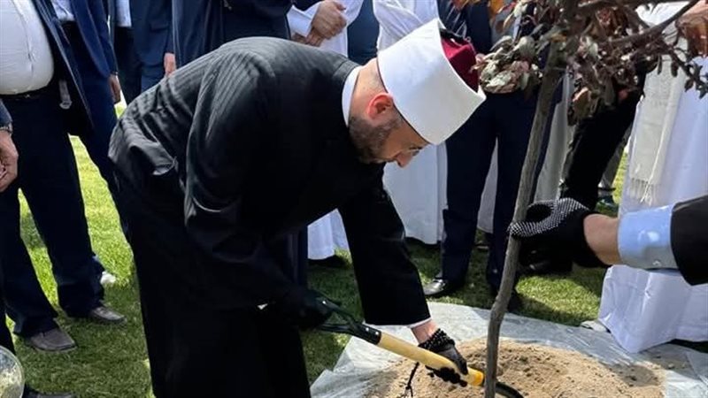 الشجرة المصرية تزهر