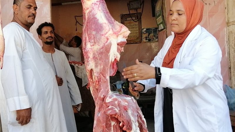 نوارة قنا