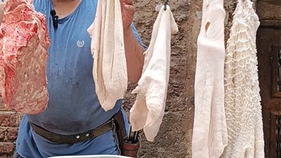 من السلخانة لمدرجات الطب.. أحمد شاب في السابعة عشرة يحارب من أجل حلمه