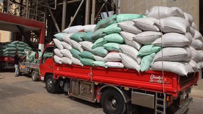 منذ بداية الموسم.. توريد 40 ألف طن قمح بصوامع وشون محافظة بني سويف