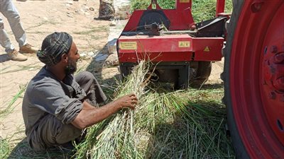 لقمة عيش بطعم الدم.. دفتر عمال التراحيل بقنا نكشف تفاصيل الوجع 