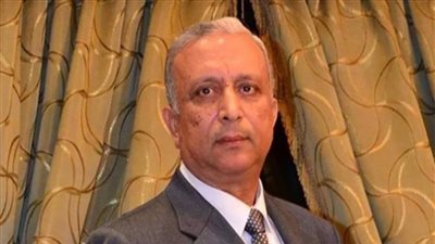 شعبة السيارات: 10 آلاف سيارة كهربائية بمصر.. وقرار الحكومة بوقف المستعمل خاطئ