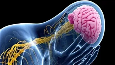 أحمد التميمي: ظاهرة 