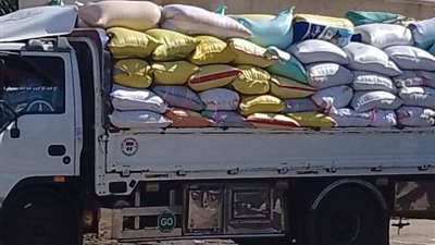 استمرار حصاد القمح حتى صباح اليوم لتعزيز الأمن الغذائي بالبحيرة