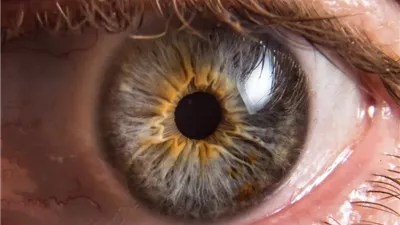 دواءٌ ثوريٌّ يُعيد البصر.. باحثون ينجحون في عكس تلف الشبكية
