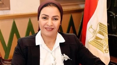 برلمانية عن قانون العمالة المنزلية: يوفر الضمانة الكاملة لحقوقهم