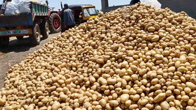 تنفيذ حملات رقابية على 91 فرعا من فروع السلاسل التجارية بمختلف المحافظات