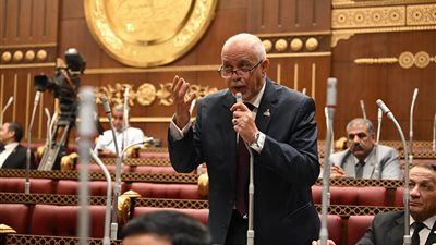 لجنة الصناعة بالشيوخ توافق على مقترحين للنائب حازم الجندي لإنشاء منطقة حرة