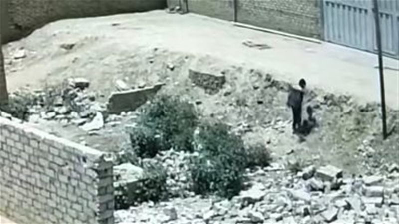طفل يصطحب صغير للتعدي