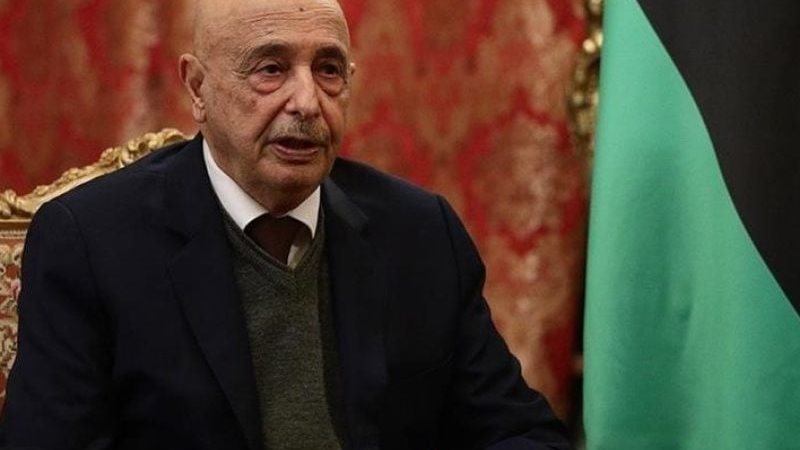 رئيس مجلس النواب