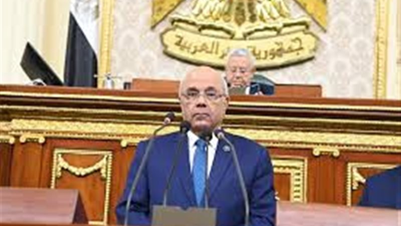 النائب محمد الفيومي