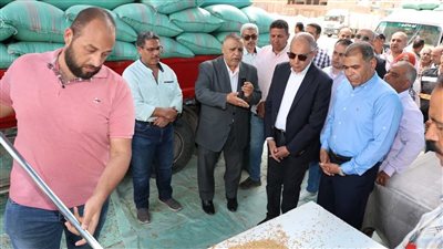من صومعة نفرتيتي.. محافظ المنيا يتابع انتظام أعمال توريد محصول القمح لعام 2025