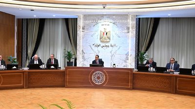 مدبولي: سرعة وضع آليات تنفيذية كاملة لتطوير استخراج التأشيرة الإلكترونية