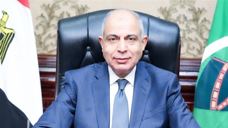 محافظ المنيا