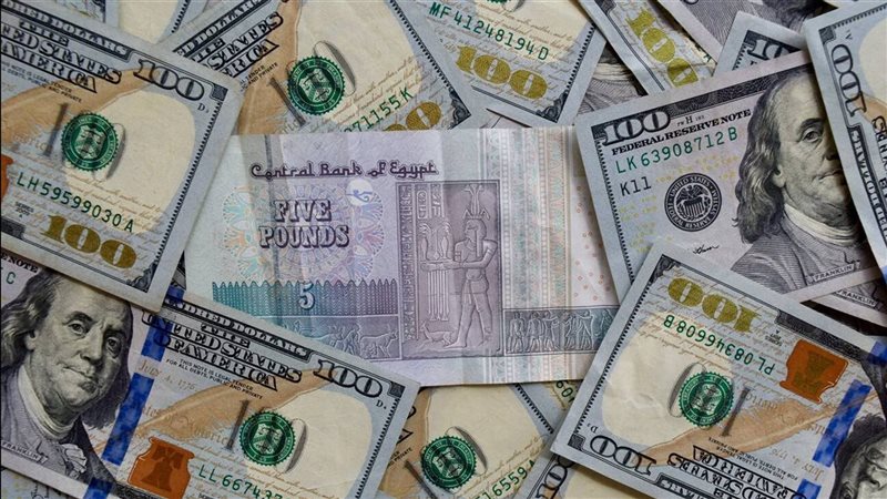 سعر الدولار اليوم