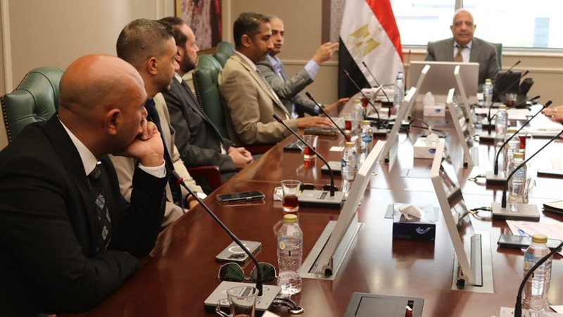 وزير الكهرباء