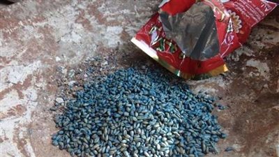 بعد فسخ خطبتها.. فتاة تنهي حياتها بحبة غلال في الإسماعيلية 