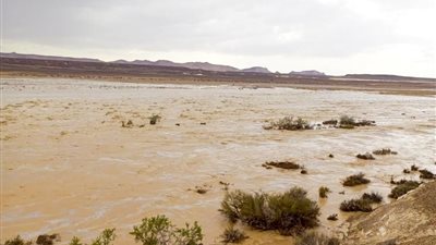 الري: سيول طابا ونويبع لم تسفر عن أضرار.. وجميع منشآت الحماية بحالة جيدة