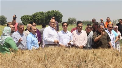 محافظ القليوبية ورئيس جامعة بنها يفتتحان موسم حصاد القمح بكلية الزراعة بمشتهر