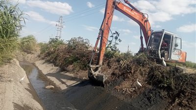 الزراعة: إزالة 54 حالة تعد على الأراضي خلال شهر إبريل 2025