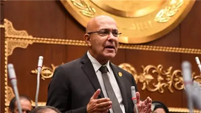 برلماني يُشيد بتوجيهات الرئيس السيسي باستكمال مسار الإصلاح الاقتصادي