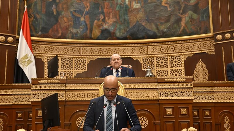 النائب علاء مصطفى