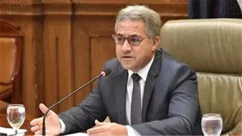النائب أحمد السجيني،