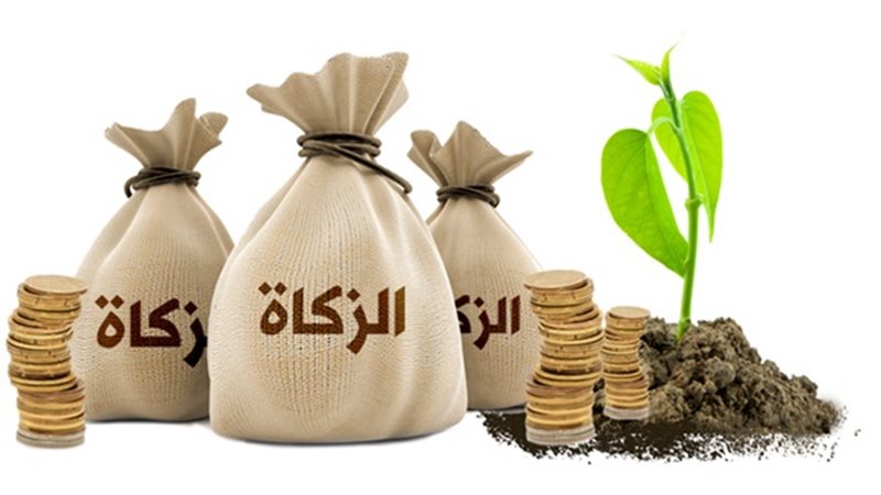 الزكاة