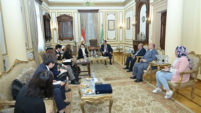 رئيس جامعة القاهرة يبحث سبل التعاون العلمي مع وزيرة التعليم اليابانية 