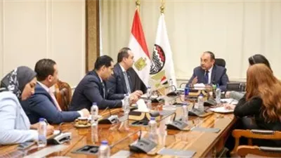 الشيمي وسبكي يبحثان تشكيل فرق عمل مشتركة لوضع آلية تنفيذية للمجالات المقترحة 