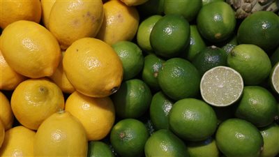 وصل لـ 100 جنيه .. شعبة الخضروات تكشف موعد انخفاض أسعار «الليمون» 