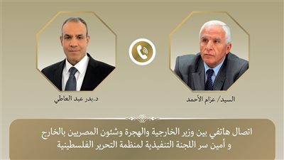 وزير الخارجية يؤكد دعم مصر الكامل للسلطة الفلسطينية