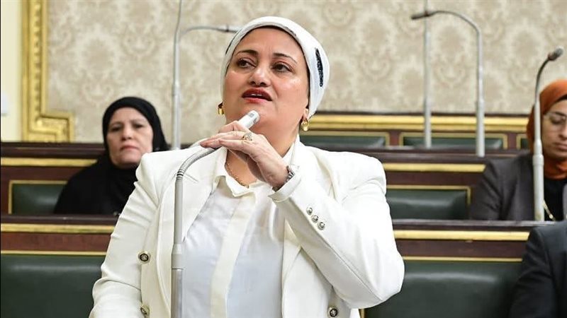 النائبة سناء السعيد