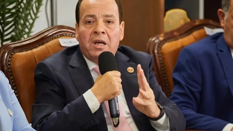 أشرف أبو النصر