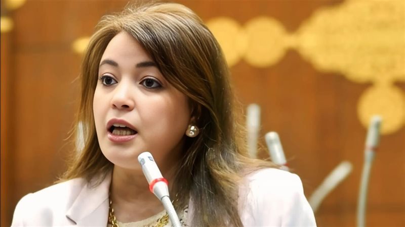 النائبة سما سليمان