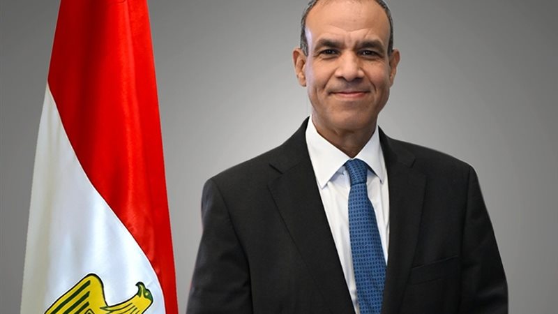 بدر عبد العاطي، وزير