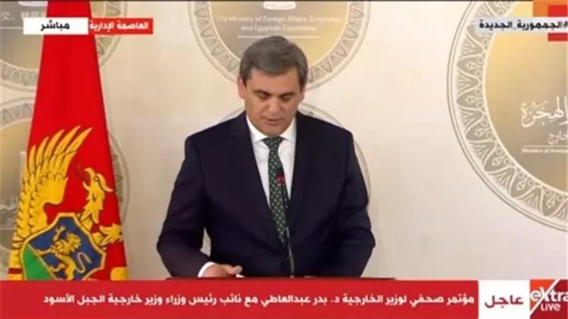 نائب رئيس الوزراء