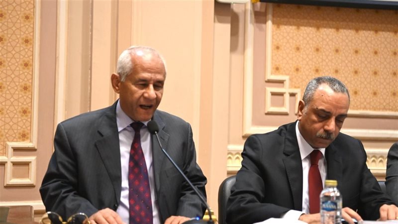  الدكتور محمد سيد