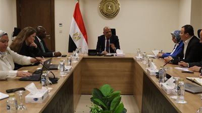 عصمت: تنويع مصادر توليد الكهرباء والاعتماد على الطاقات المتجددة وتطوير الشبكات