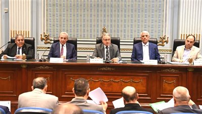 محافظ الغربية: ننتظر تدشين المرحلة الثانية لمبادرة 